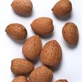 بادام معمولی